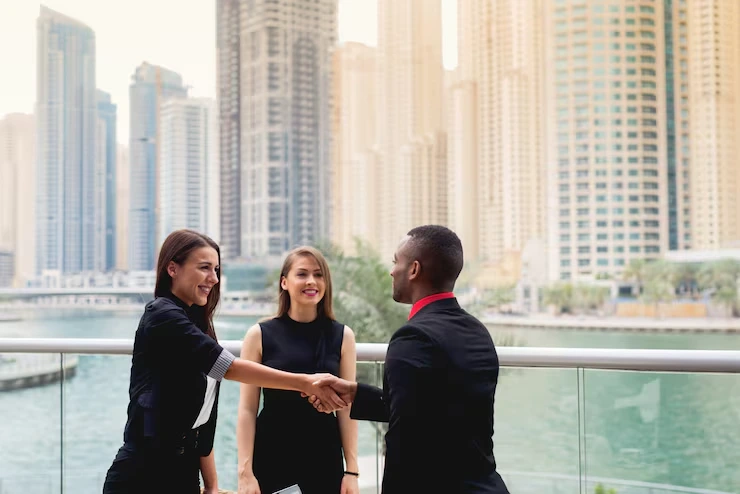 Dubai Buy-to-Sell Property Sourcing