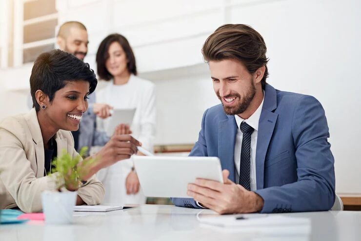 HMO Licensing Consultant